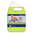 02621 - Mr. Clean Pro Finished Floor Cleaner, 1 Gallon, 4/cs